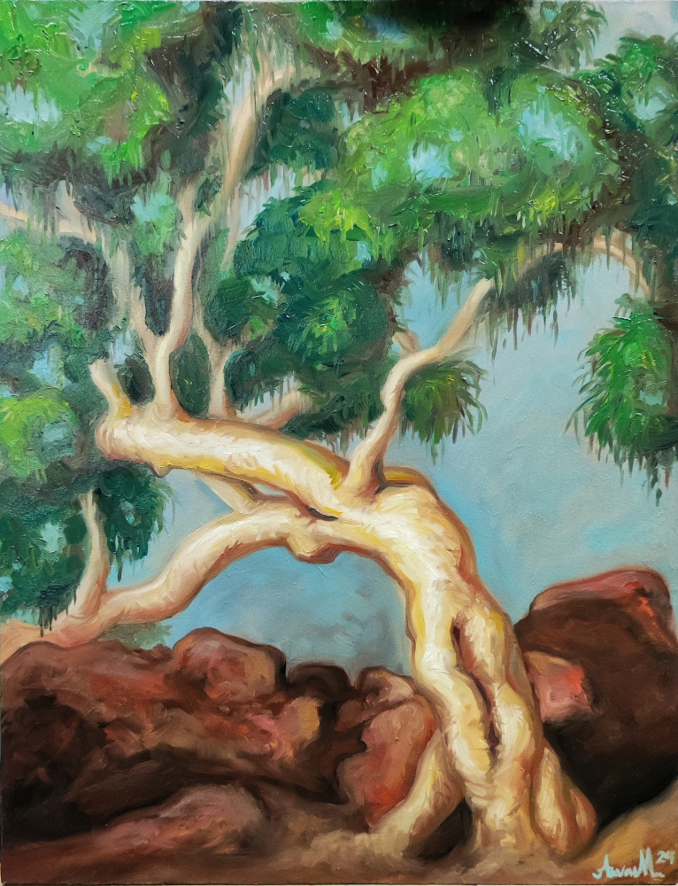 Read more about the article Uusia maisemia ja muotokuvia